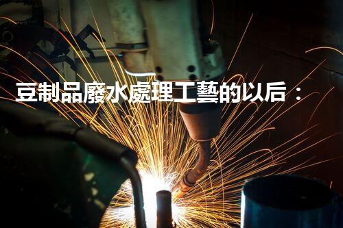 豆制品廢水處理工藝的以后：挑戰(zhàn)與突破？